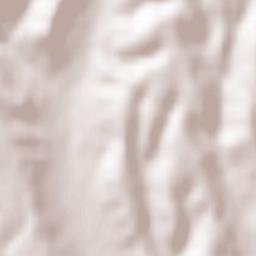 Scheiu de Jos Terrain Map