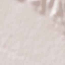 Valea Voievozilor Terrain Map