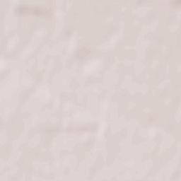 Rachieri Terrain Map