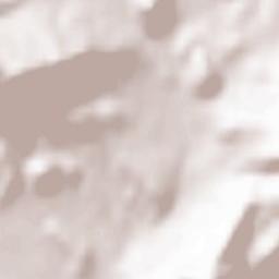 Shchebetovka Terrain Map