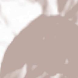 Pramollo Terrain Map