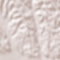 Baldichieri d'Asti Terrain Map