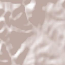 Lăpuşnicu Mare Terrain Map