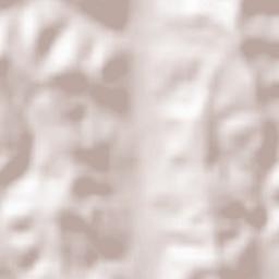 Berleşti Terrain Map