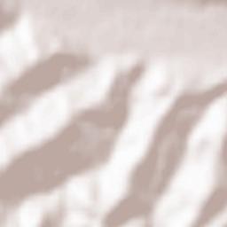 Şirineasa Terrain Map