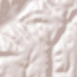 Comuna Dănicei Terrain Map