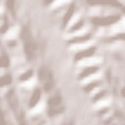 Drăganu-Olteni Terrain Map