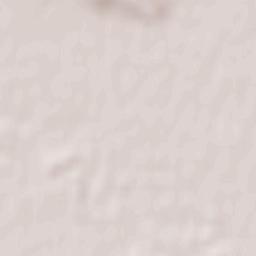 Săcueni Terrain Map