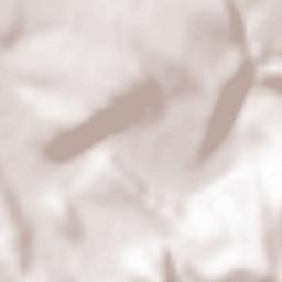 Naidăș Terrain Map