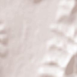 Lădeşti Terrain Map