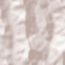 Comuna Pesceana Terrain Map