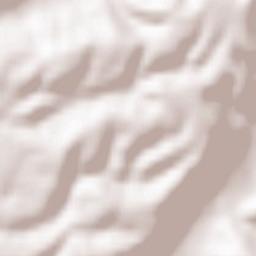 Stoileşti Terrain Map