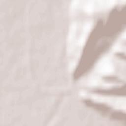 Valea Mare-Podgoria Terrain Map