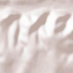 Slava Cercheză Terrain Map