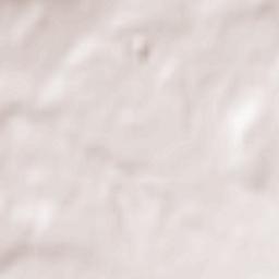 Chisten’koye Terrain Map