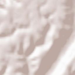 Vitomireşti Terrain Map