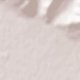 Ştefăneşti Terrain Map