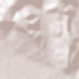 Văleni-Podgoria Terrain Map