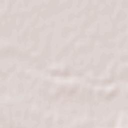 Târgşoru Vechi Terrain Map