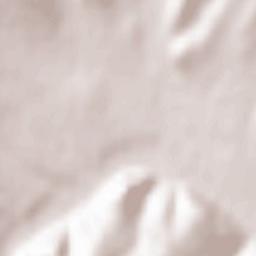 Slava Rusă Terrain Map