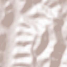 Comuna Vladimir Terrain Map