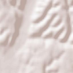 Comuna Poiana Lacului Terrain Map