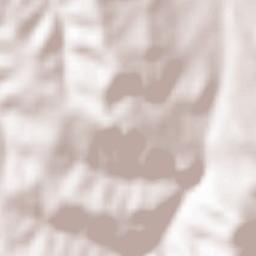 Krasnolesye Terrain Map