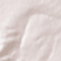 Rayevskaya Terrain Map