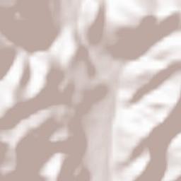 Comuna Topleţ Terrain Map