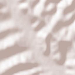 Comuna Negomir Terrain Map