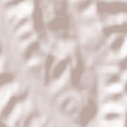 Sterpoaia Terrain Map