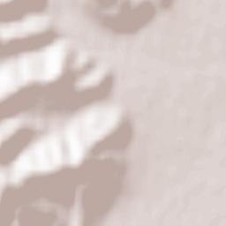 Săuleşti Terrain Map