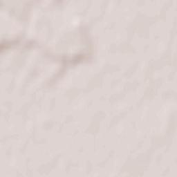 Corneşti Terrain Map