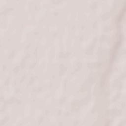 Mihai Bravu Terrain Map