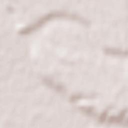 Sommariva del Bosco Terrain Map