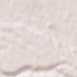 Pasturana Terrain Map