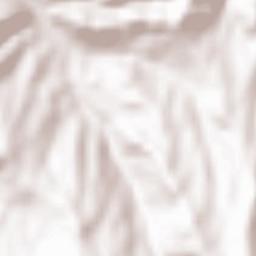 Montacuto Terrain Map