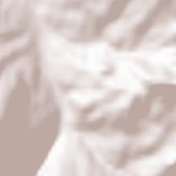 Santa Margherita di Staffora Terrain Map