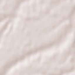 Bijeljina Terrain Map