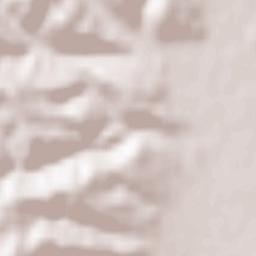 Căpreni Terrain Map