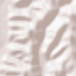 Comuna Stejari Terrain Map