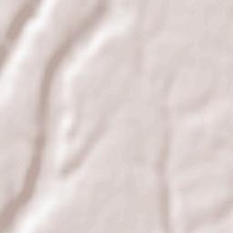 Comuna Leleasca Terrain Map