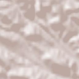 Solnechnogorskoye Terrain Map