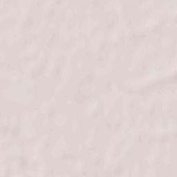 Rodnikovskaya Terrain Map