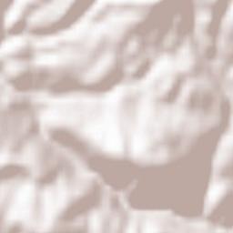 Opština Oštra Luka Terrain Map