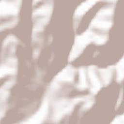 Sicheviţa Terrain Map