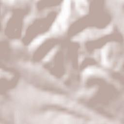 Jidoștița Terrain Map