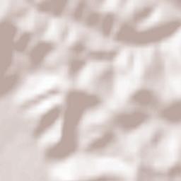 Văgiuleşti Terrain Map