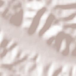 Costești Terrain Map