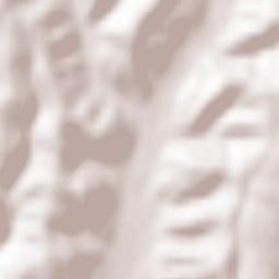 Dănciuleşti Terrain Map